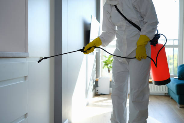  George Mason, VA Mold Removal Pros
