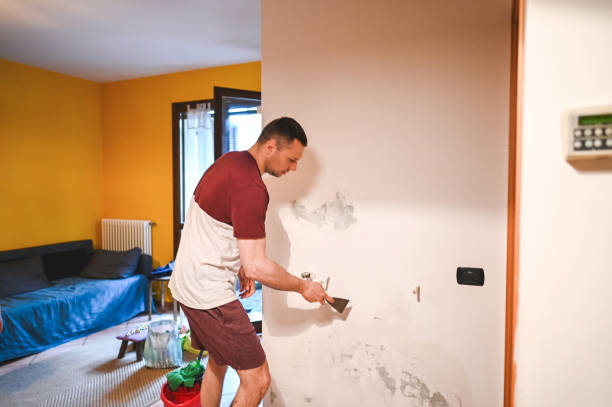 Best Localized Mold Remediation (e.g., coastal areas, humid climates) in George Mason, VA